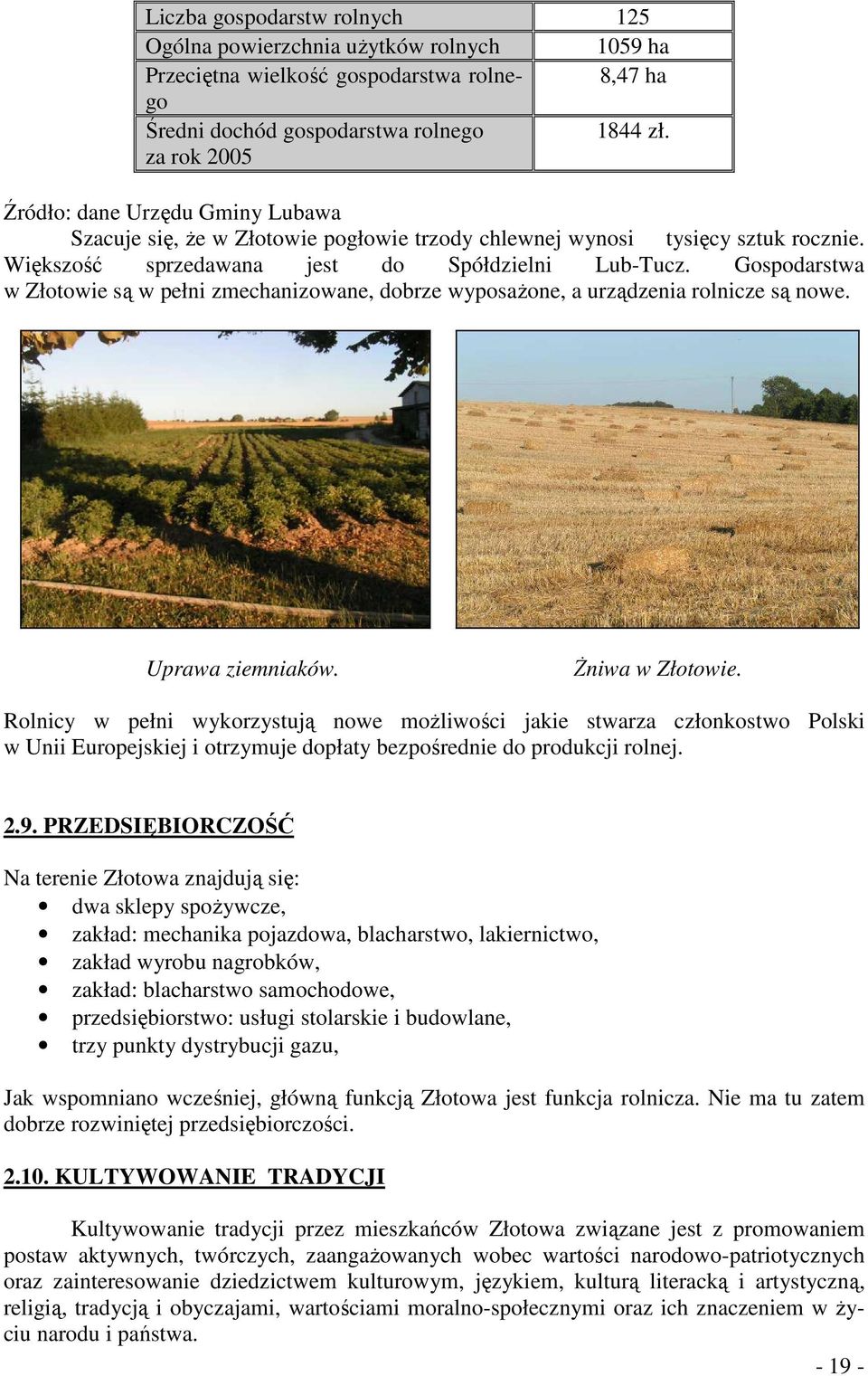 Gospodarstwa w Złotowie są w pełni zmechanizowane, dobrze wyposaŝone, a urządzenia rolnicze są nowe. Uprawa ziemniaków. śniwa w Złotowie.