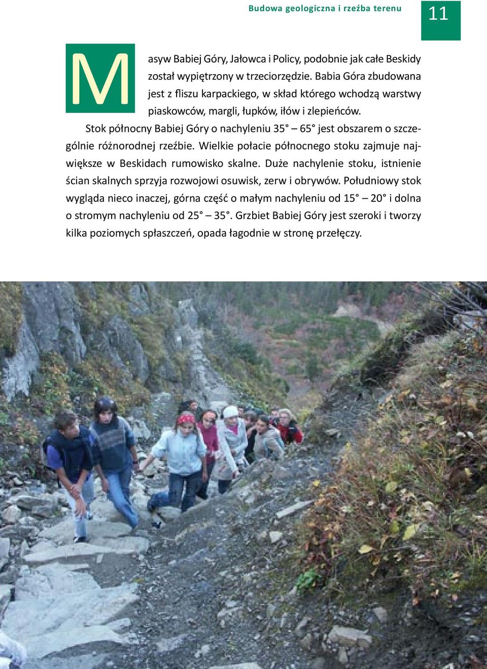 Stok północny Babiej Góry o nachyleniu 35 65 jest obszarem o szczególnie różnorodnej rzeźbie. Wielkie połacie północnego stoku zajmuje największe w Beskidach rumowisko skalne.