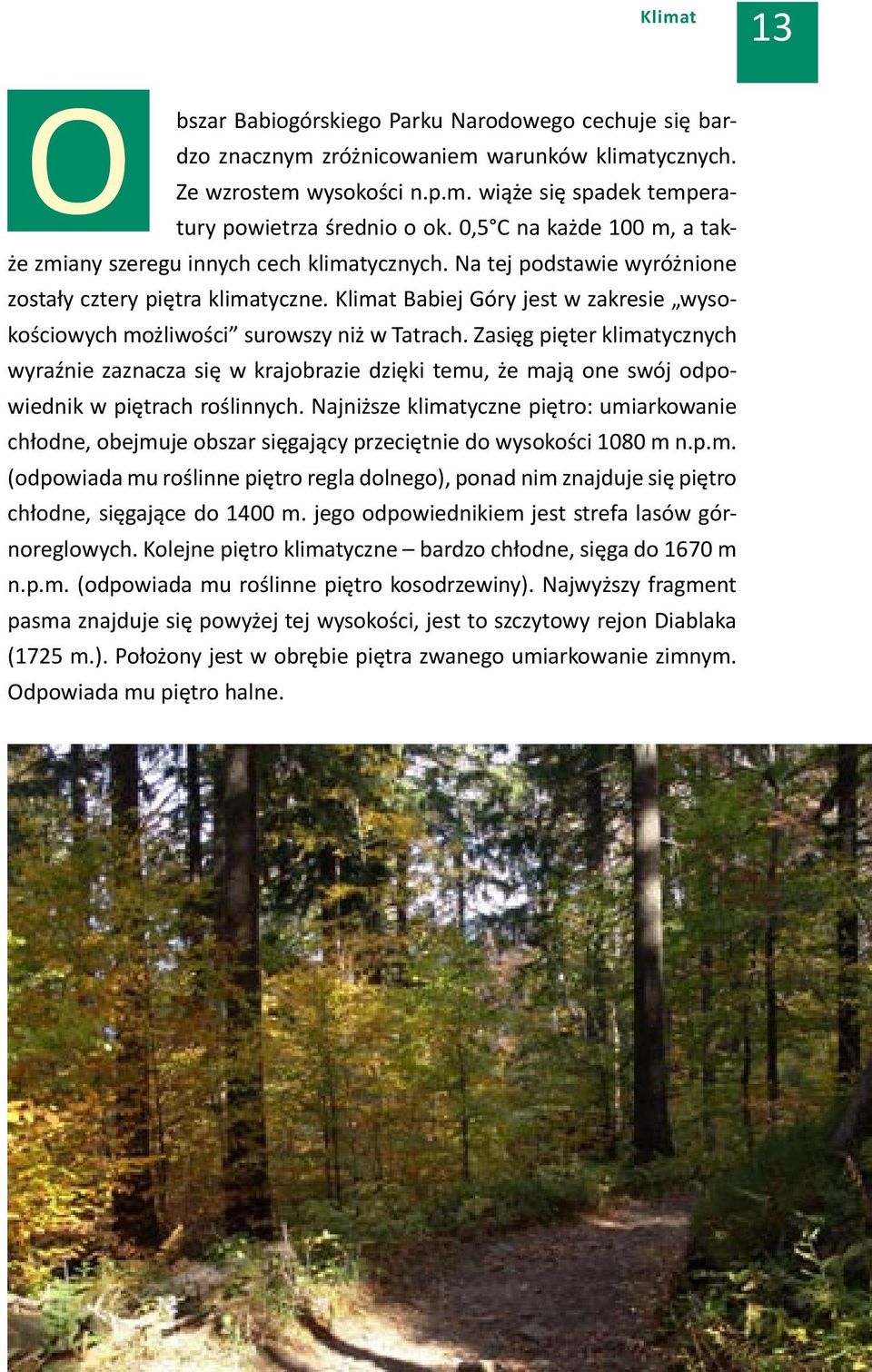 Klimat Babiej Góry jest w zakresie wysokościowych możliwości surowszy niż w Tatrach.