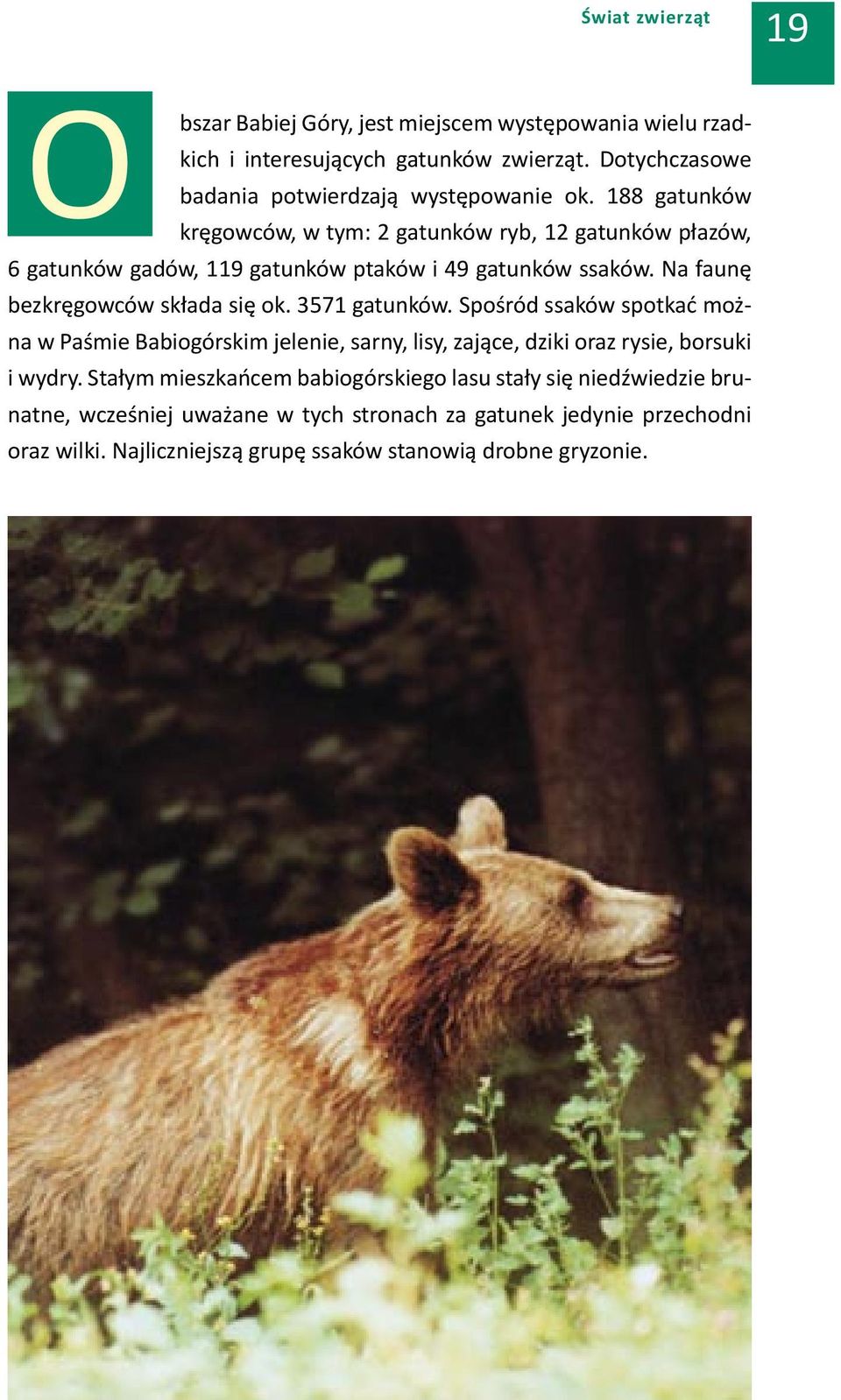 188 gatunków kręgowców, w tym: 2 gatunków ryb, 12 gatunków płazów, 6 gatunków gadów, 119 gatunków ptaków i 49 gatunków ssaków. Na faunę bezkręgowców składa się ok.