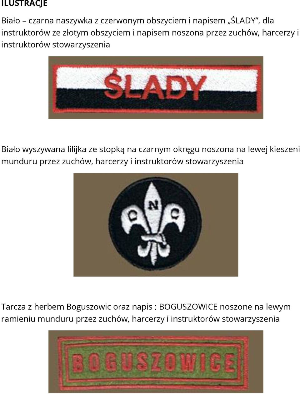 okręgu noszona na lewej kieszeni munduru przez zuchów, harcerzy i instruktorów stowarzyszenia Tarcza z herbem
