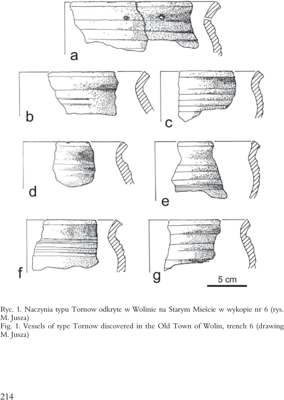 Mieście w wykopie nr 6 (rys. M. Jusza) Fig. 1.