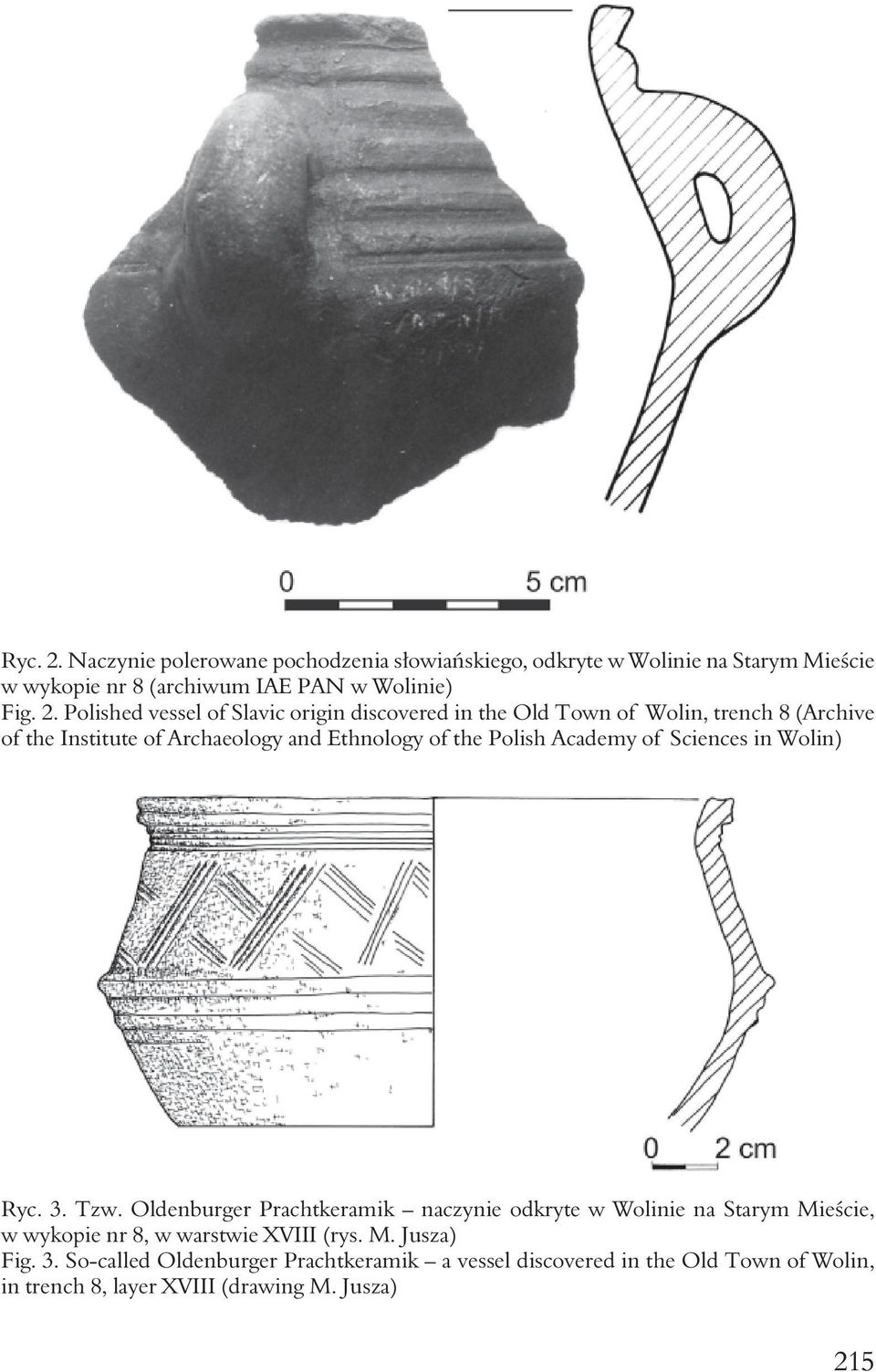 Polished vessel of Slavic origin discovered in the Old Town of Wolin, trench 8 (Archive of the Institute of Archaeology and Ethnology of the Polish