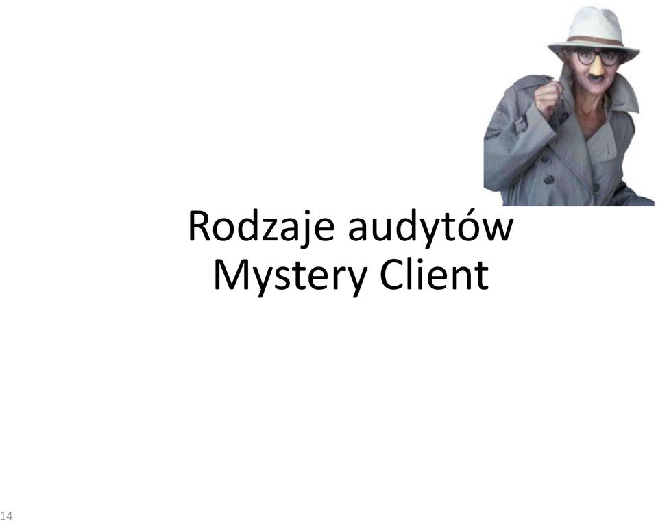 audytów