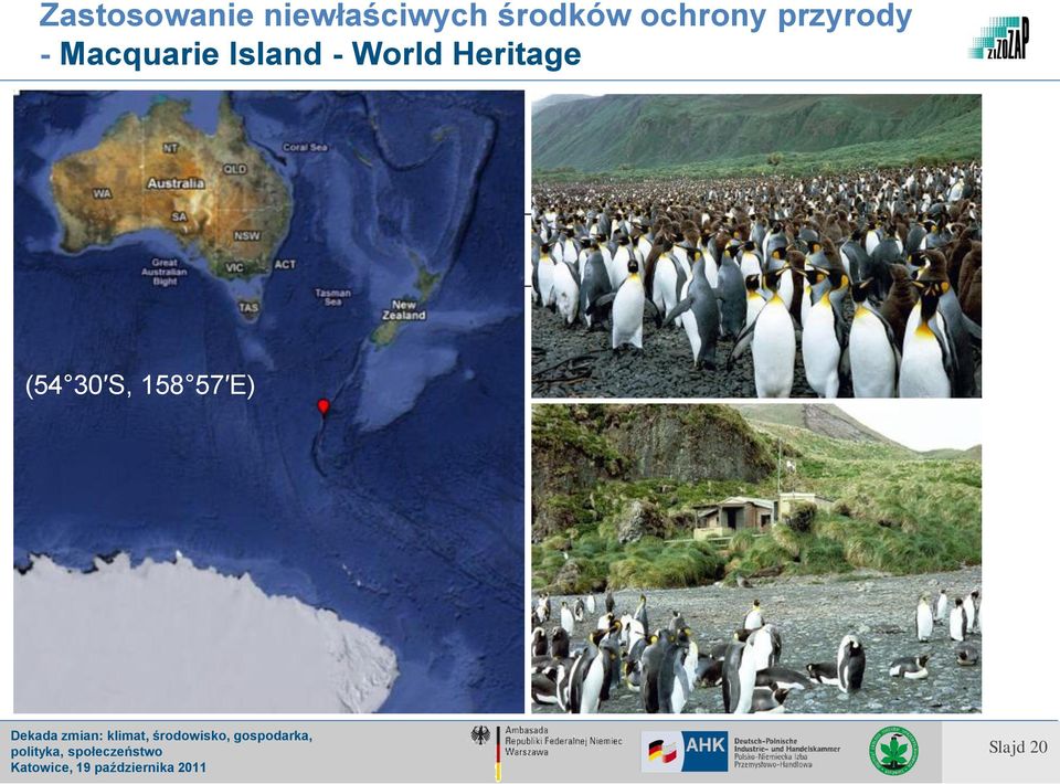 World Heritage Macquarie Island -