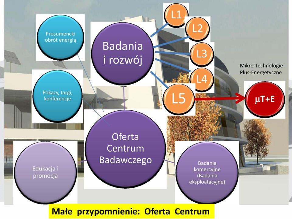 L5 mt+e Edukacja i promocja Oferta Centrum Badawczego Badania