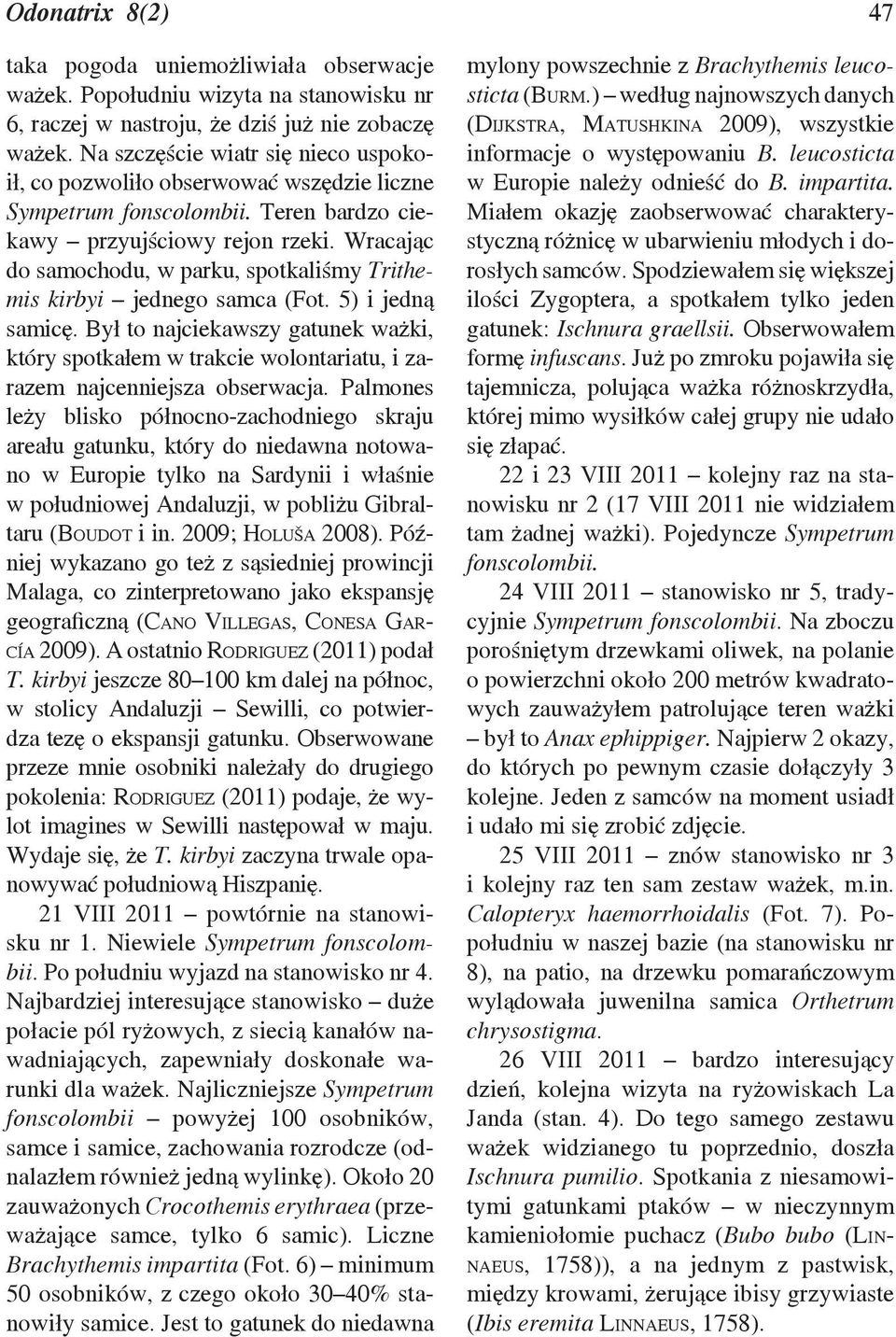 Wracając do samochodu, w parku, spotkaliśmy Trithemis kirbyi jednego samca (Fot. 5) i jedną samicę.
