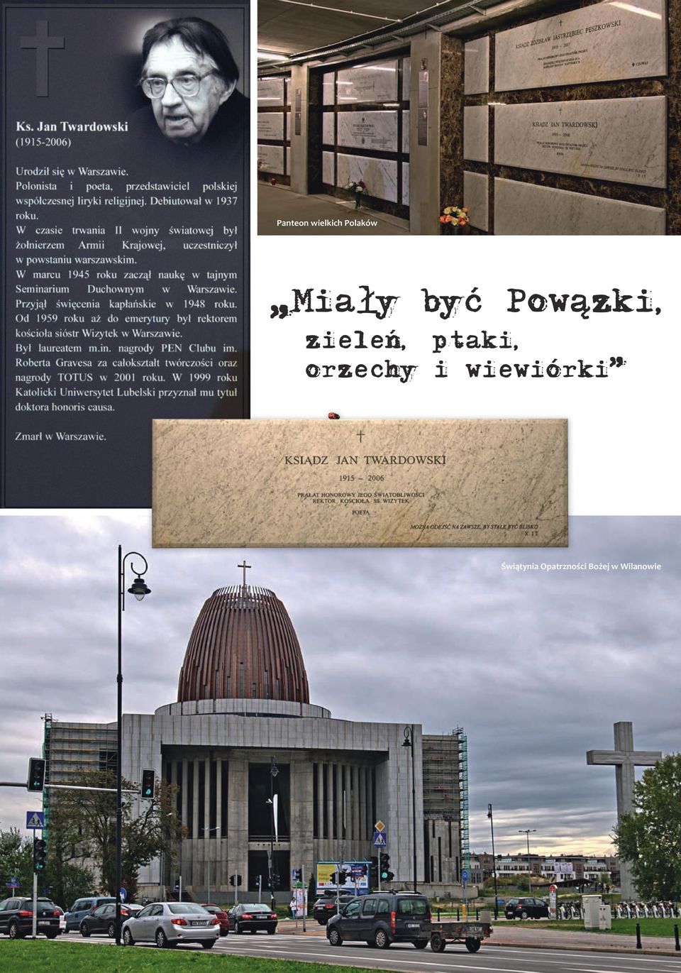 ptaki, orzechy i wiewiórki