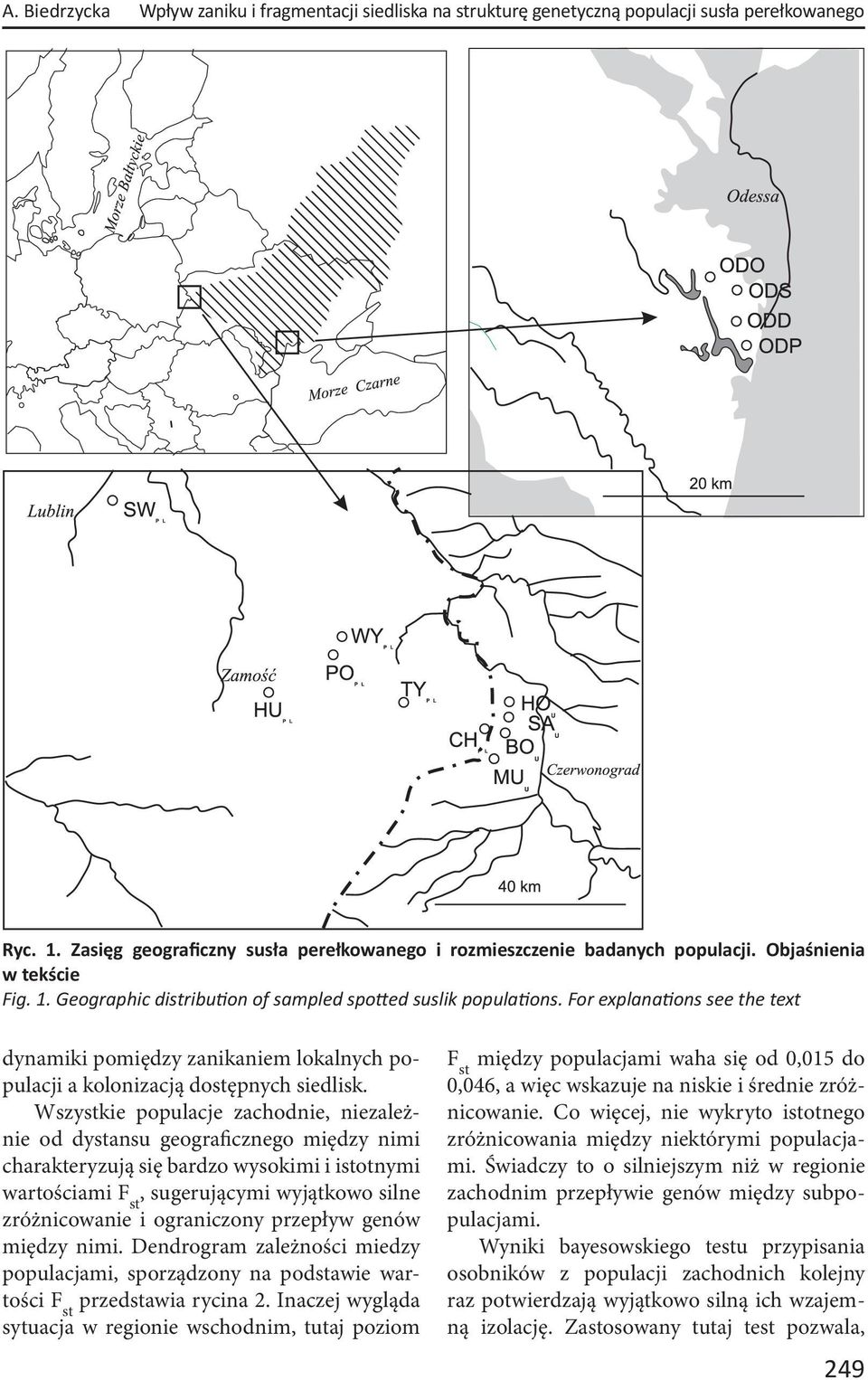 For explana ons see the text dynamiki pomiędzy zanikaniem lokalnych populacji a kolonizacją dostępnych siedlisk.