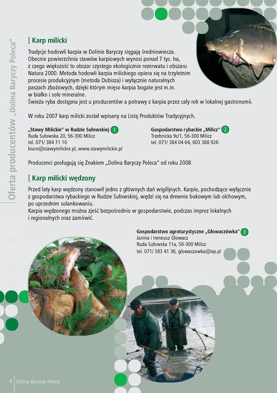 Metoda hodowli karpia milickiego opiera się na trzyletnim procesie produkcyjnym (metoda Dubisza) i wyłącznie naturalnych paszach zbożowych, dzięki którym mięso karpia bogate jest m.in.