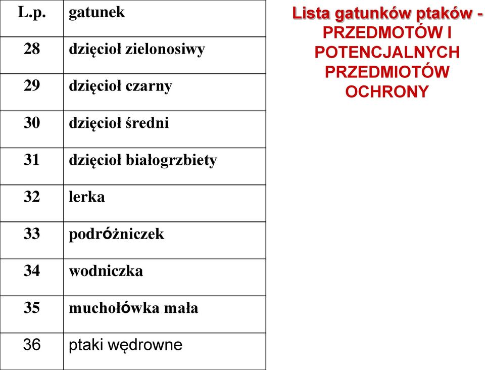 OCHRONY 30 dzięcioł średni 31 dzięcioł białogrzbiety 32 lerka