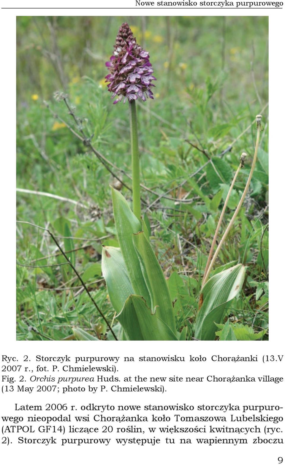 Chmielewski). Latem 2006 r.