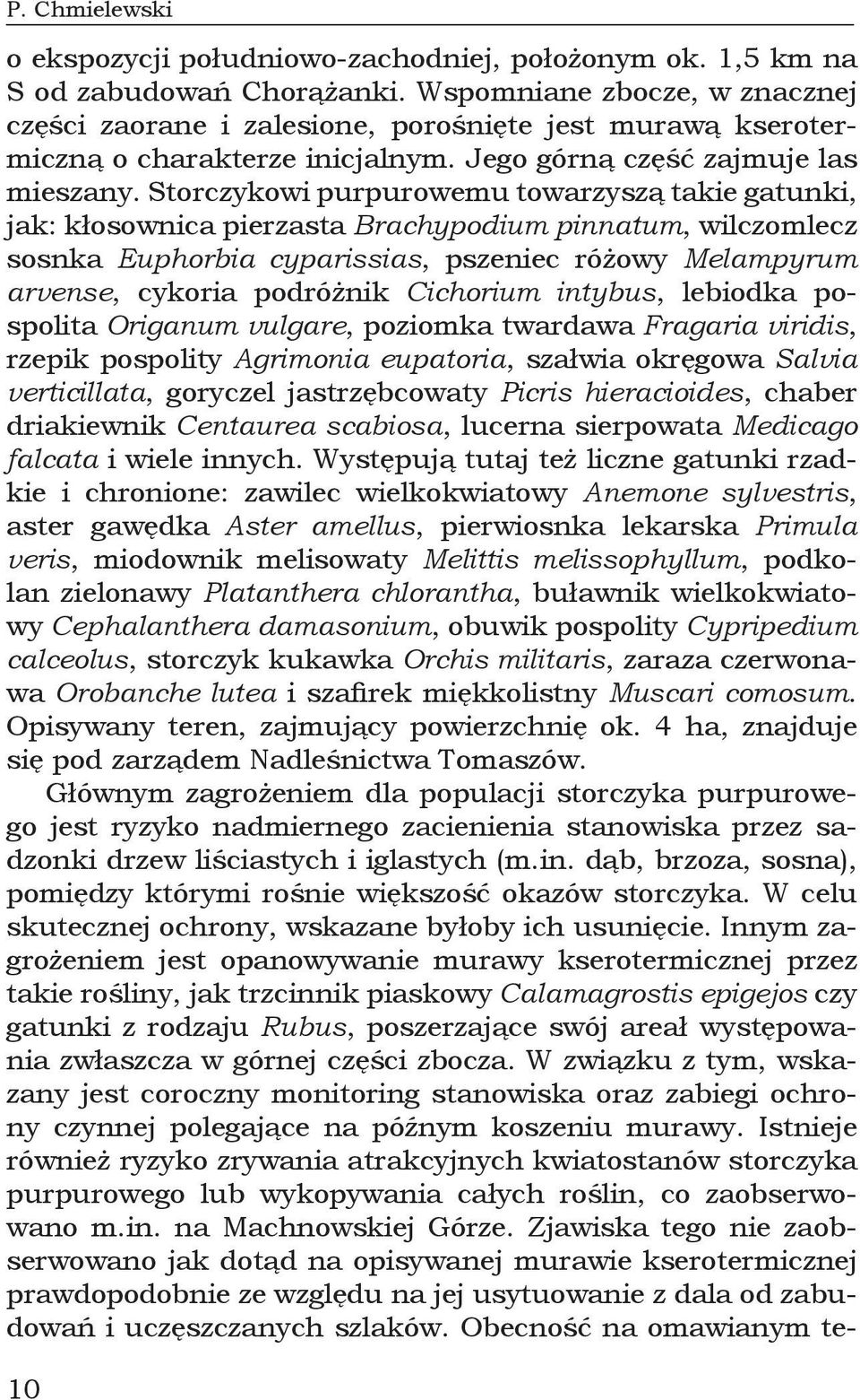 Storczykowi purpurowemu towarzyszą takie gatunki, jak: kłosownica pierzasta Brachypodium pinnatum, wilczomlecz sosnka Euphorbia cyparissias, pszeniec różowy Melampyrum arvense, cykoria podróżnik