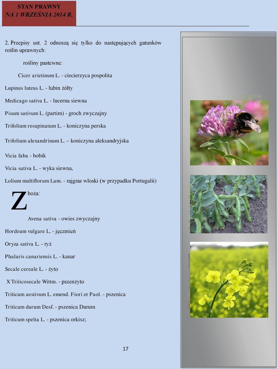 - wyka siewna, Lolium z multiflorum Lam. - rajgras włoski (w przypadku Portugalii) boża: Avena sativa - owies zwyczajny Hordeum vulgare L. - jęczmień Oryza sativa L. - ryż Phalaris canariensis L.