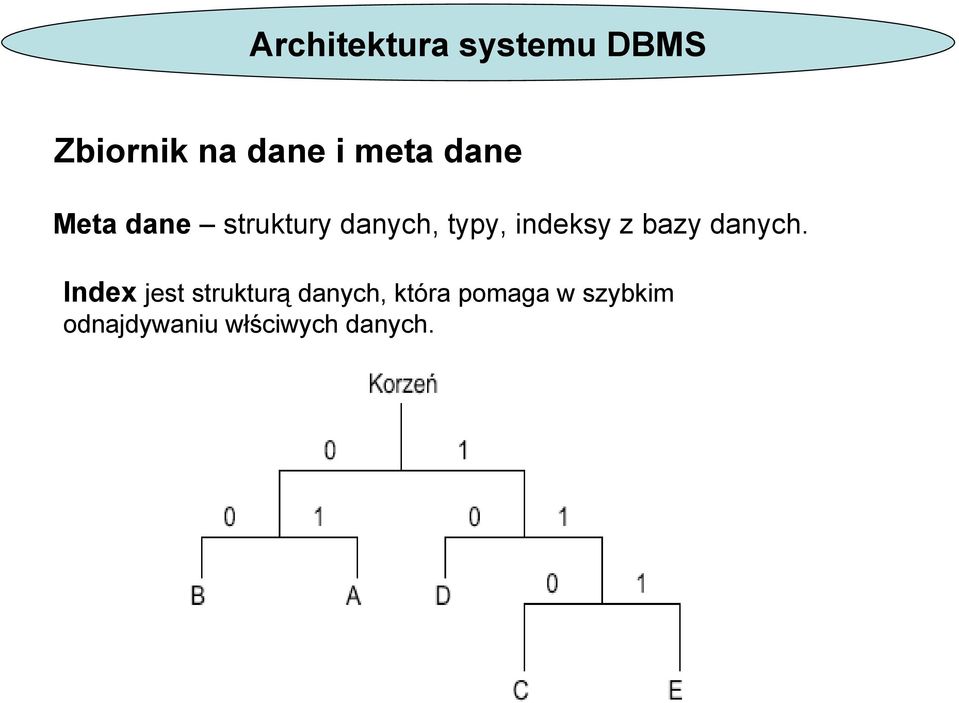 indeksy z bazy danych.