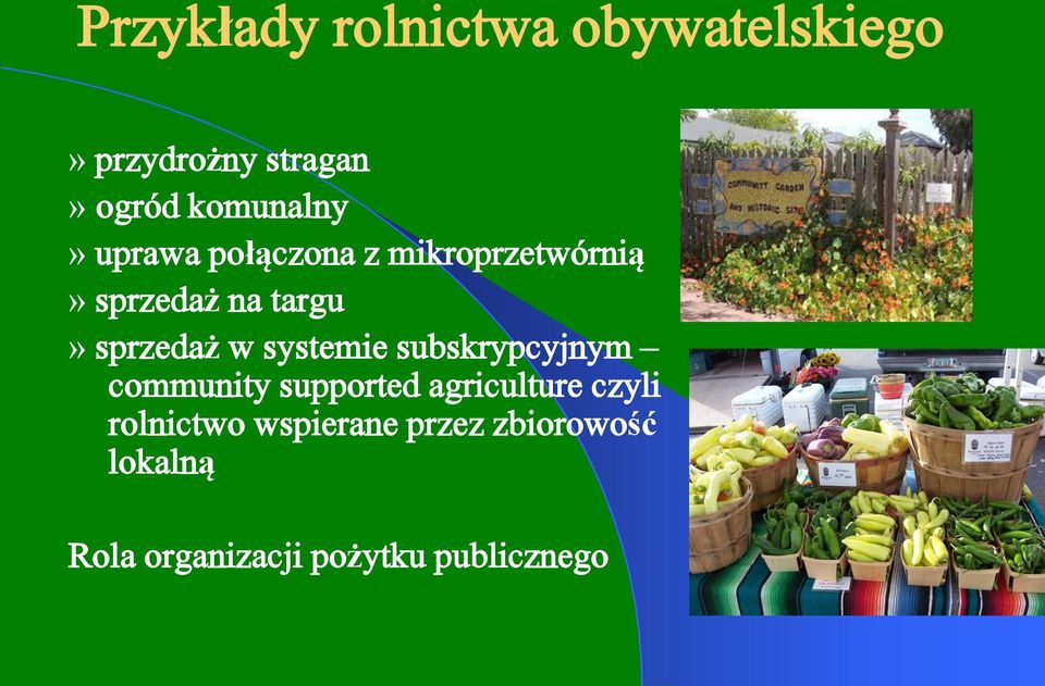 sprzedaż w systemie subskrypcyjnym community supported agriculture