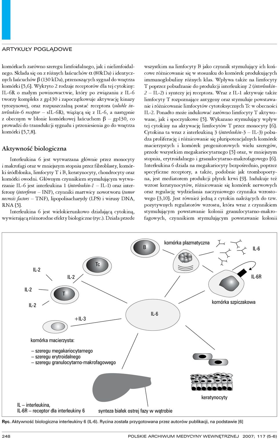 receptora (soluble interleukin-6 receptor sil-6r), wiążącą się z IL-6, a następnie z obecnym w błonie komórkowej łańcuchem β gp130, co prowadzi do transdukcji sygnału i przeniesienia go do wnętrza