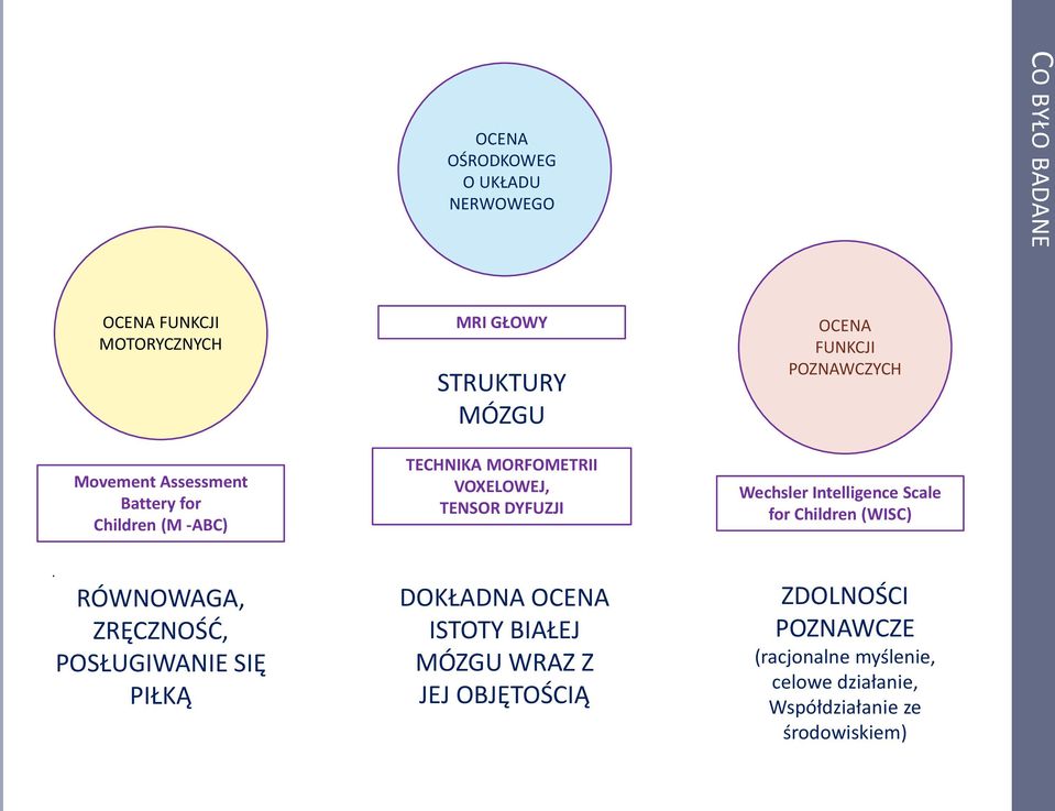 Wechsler Intelligence Scale for Children (WISC).