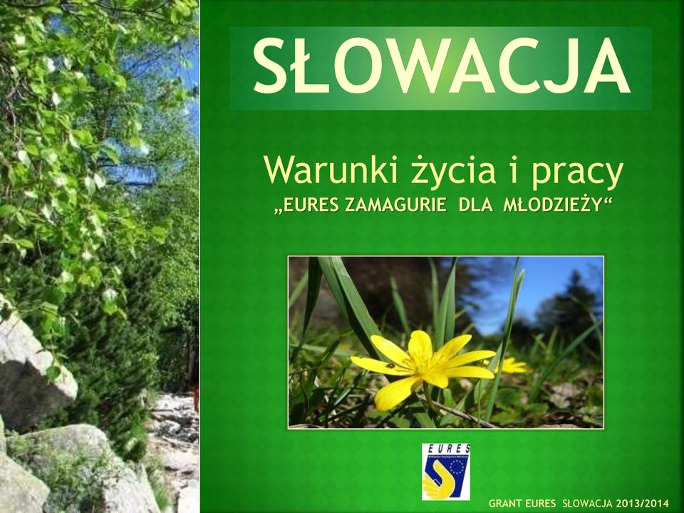 ZAMAGURIE DLA
