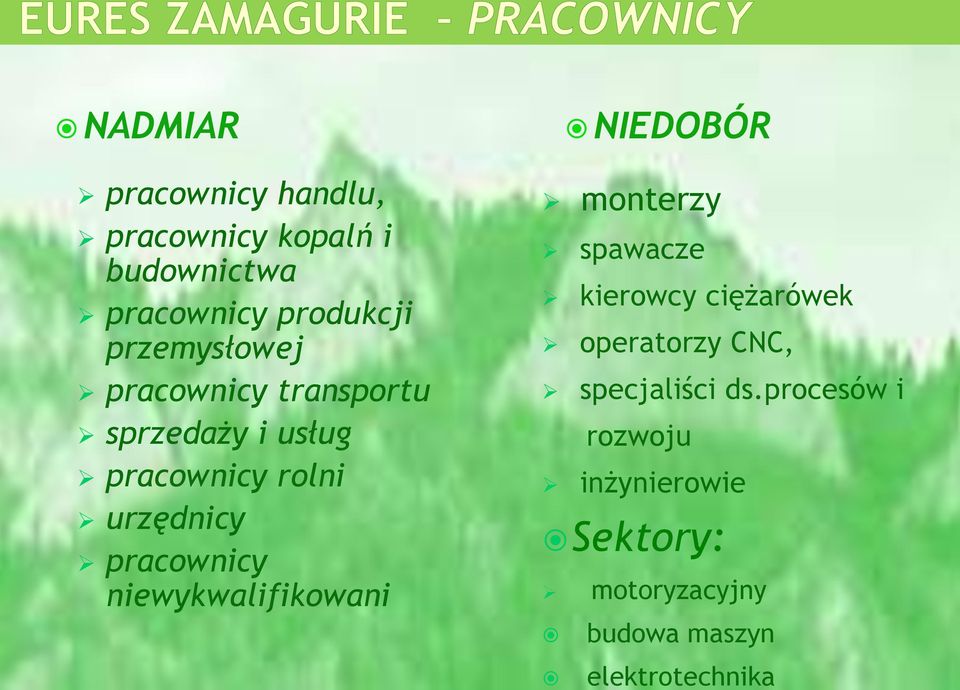 pracownicy niewykwalifikowani monterzy spawacze kierowcy ciężarówek operatorzy CNC,