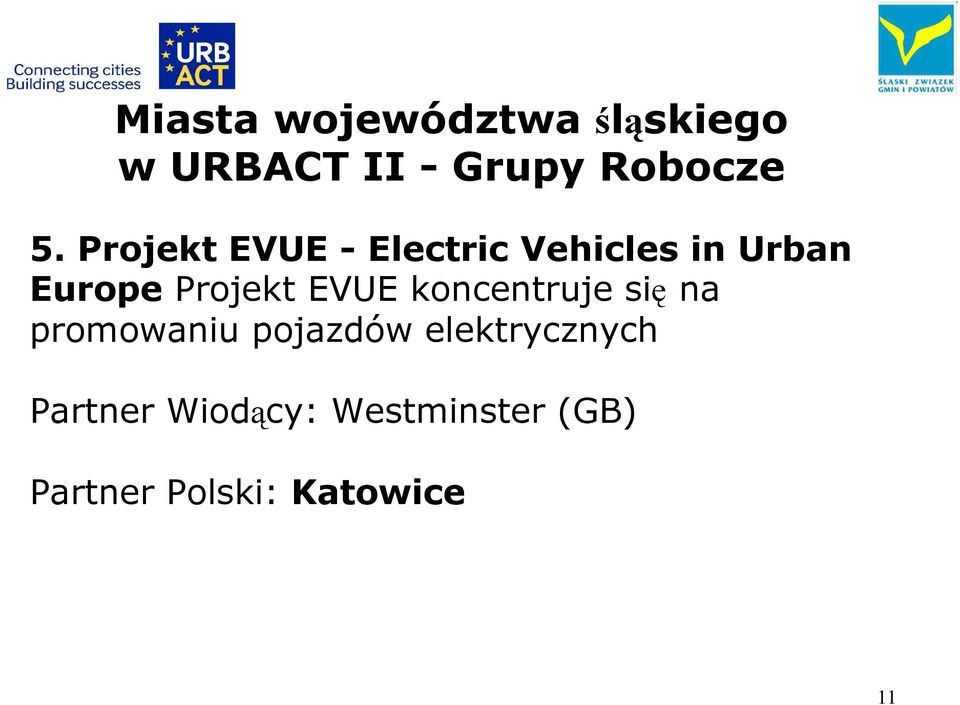 EVUE koncentruje się na promowaniu pojazdów elektrycznych