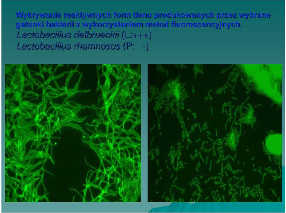 wykorzystaniem metod fluorescencyjnych.