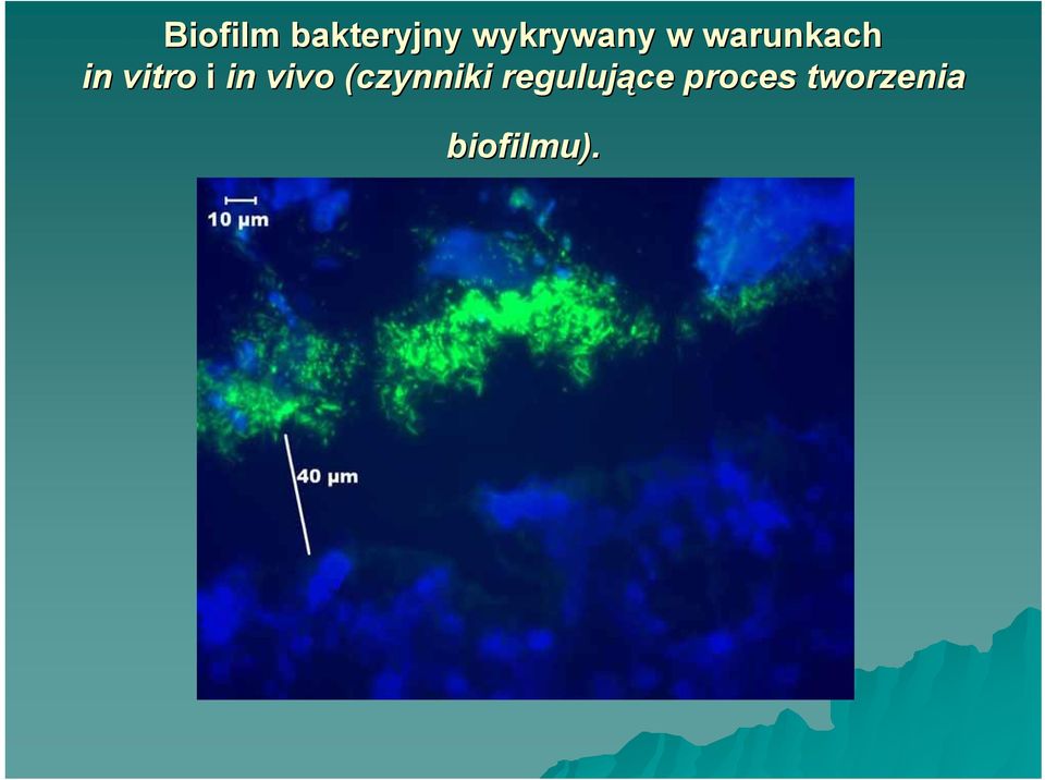 vitro i in vivo (czynniki