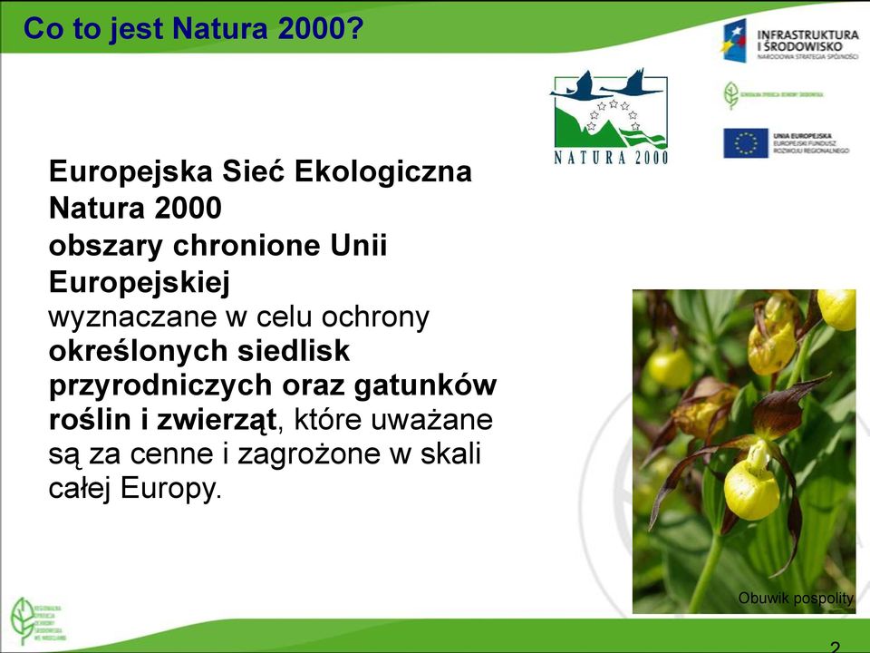 Europejskiej wyznaczane w celu ochrony określonych siedlisk