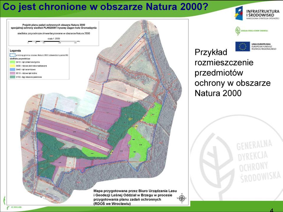 2000 Mapa przygotowana przez Biuro Urządzania Lasu i Geodezji