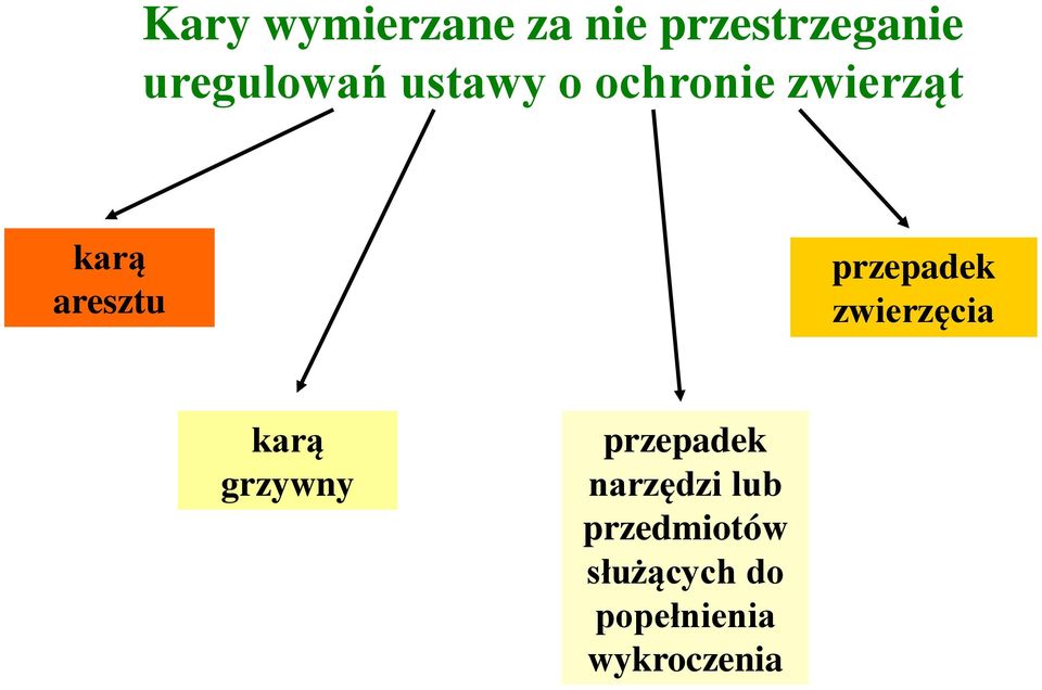 przepadek zwierzęcia karą grzywny przepadek