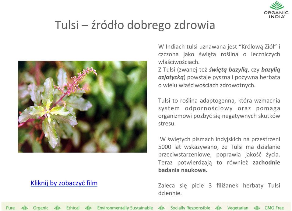 Tulsi to roślina adaptogenna, która wzmacnia system odpornościowy oraz pomaga organizmowi pozbyć się negatywnych skutków stresu.