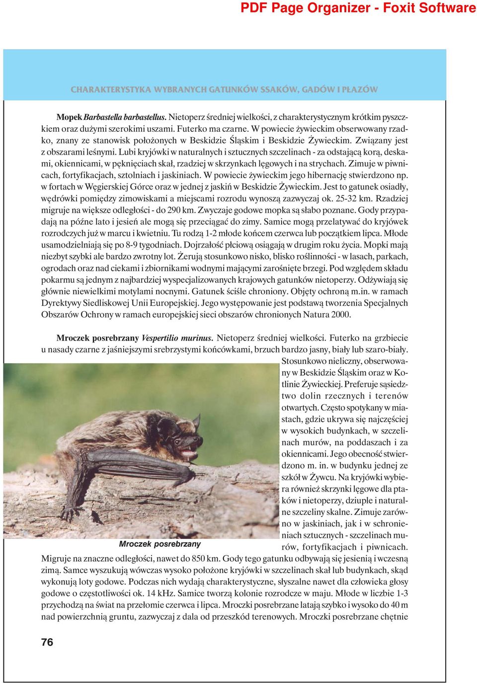 Lubi kryjówki w naturalnych i sztucznych szczelinach - za odstającą korą, deskami, okiennicami, w pęknięciach skał, rzadziej w skrzynkach lęgowych i na strychach.