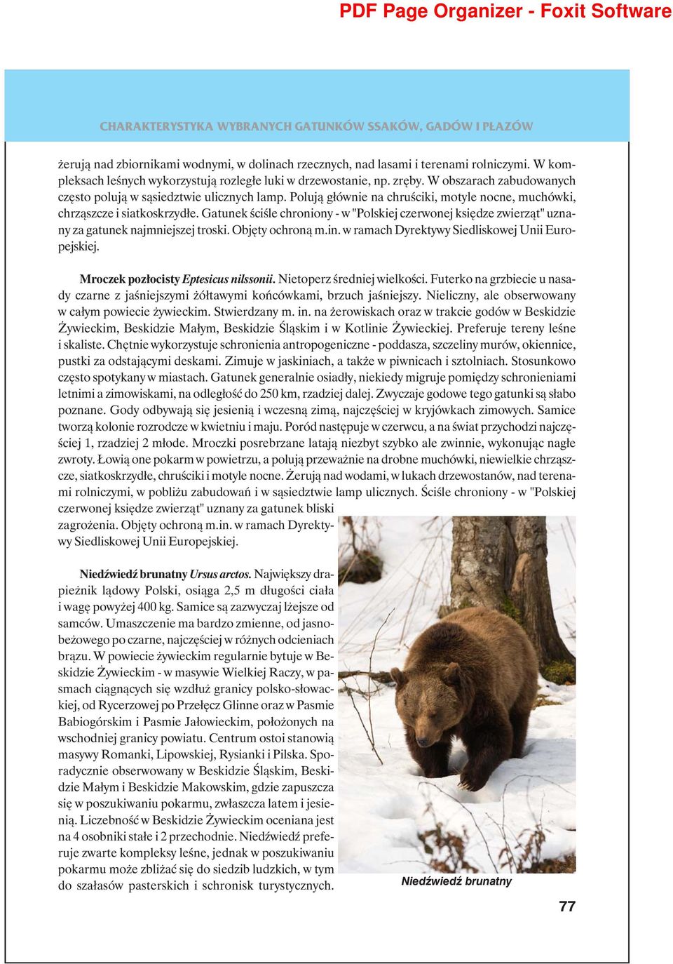 Gatunek ściśle chroniony - w "Polskiej czerwonej księdze zwierząt" uznany za gatunek najmniejszej troski. Objęty ochroną m.in. w ramach Dyrektywy Siedliskowej Unii Europejskiej.
