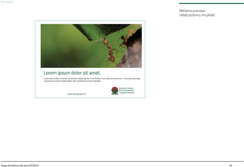 Lorem ipsum dolor sit amet, consectetur adipiscing elit.
