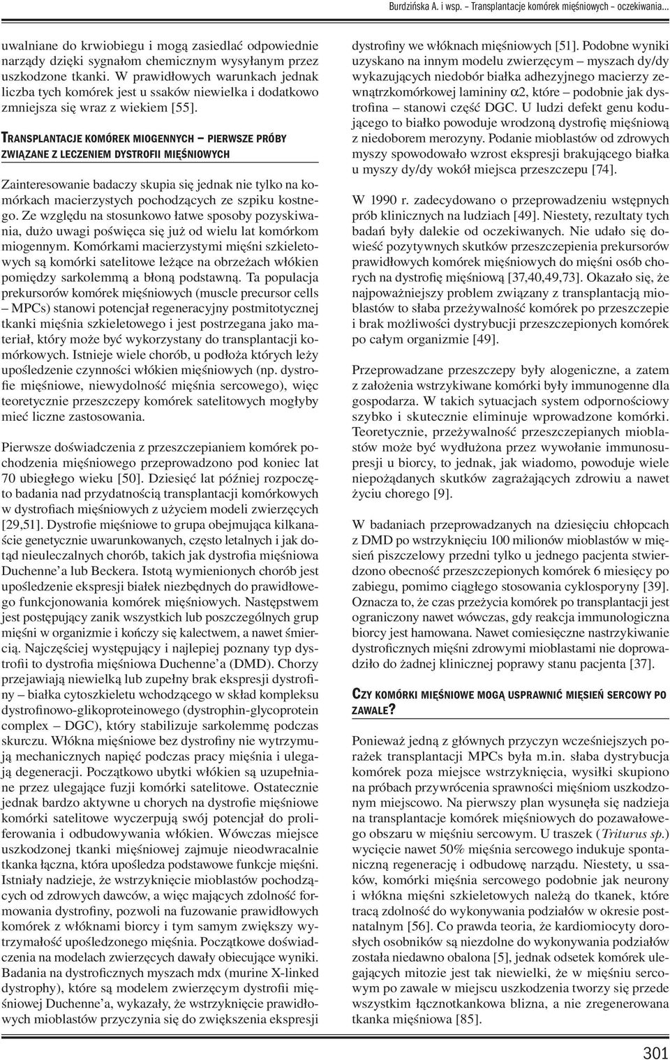 TRANSPLANTACJE KOMÓREK MIOGENNYCH PIERWSZE PRÓBY ZWIĄZANE Z LECZENIEM DYSTROFII MIĘŚNIOWYCH Zainteresowanie badaczy skupia się jednak nie tylko na komórkach macierzystych pochodzących ze szpiku