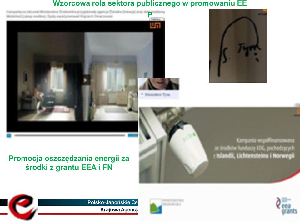 EEA i FN Polsko-Japońskie