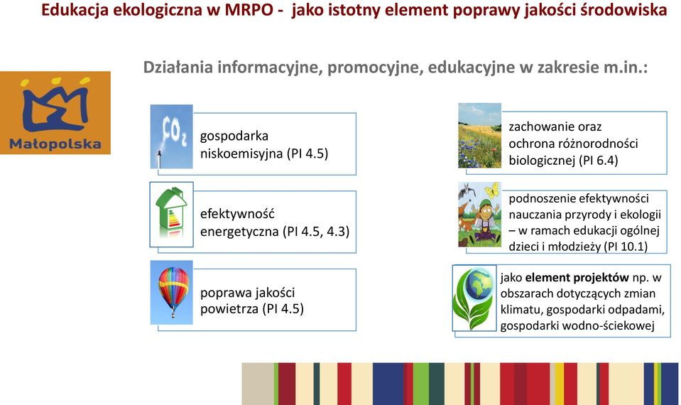 5) zachowanie oraz ochrona różnorodności biologicznej (PI 6.