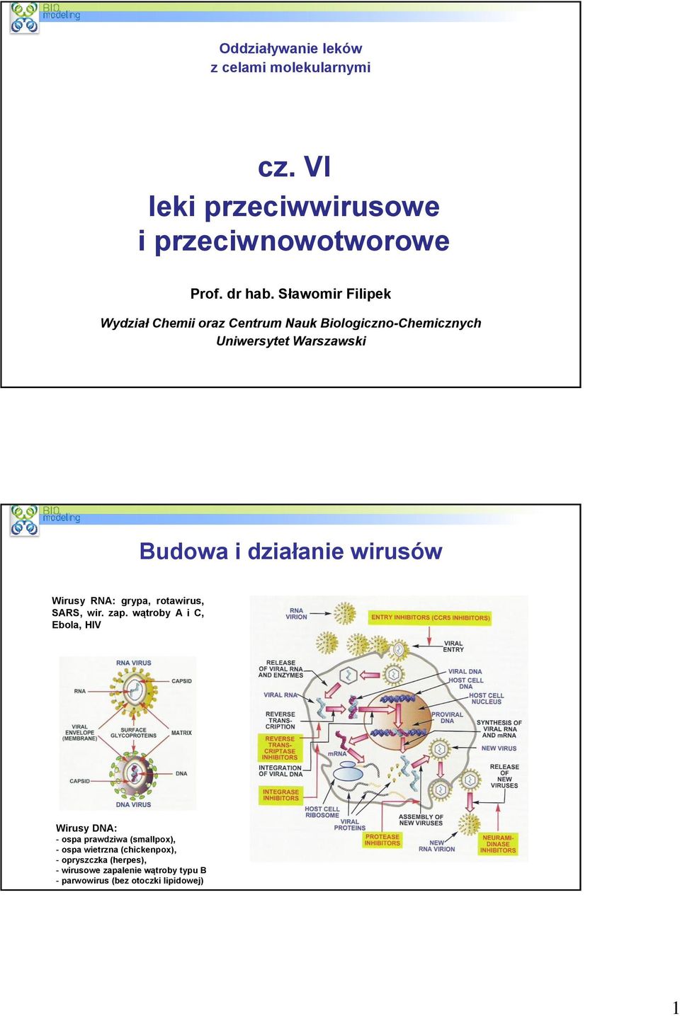 wirusów Wirusy RNA: grypa, rotawirus, SARS, wir. zap.