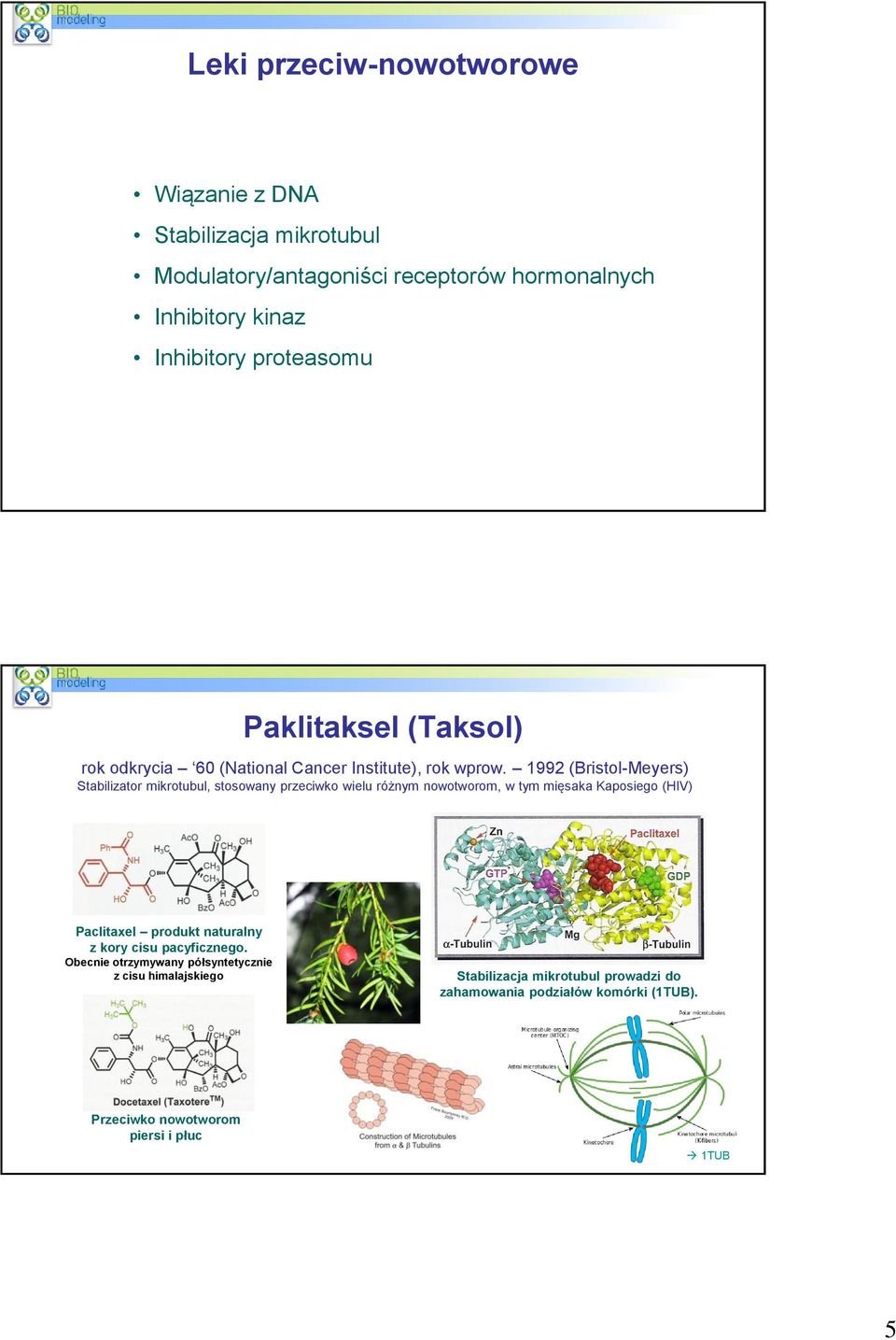 1992 (Bristol-Meyers) Stabilizator mikrotubul, stosowany przeciwko wielu różnym nowotworom, w tym mięsaka Kaposiego (HIV) Paclitaxel produkt