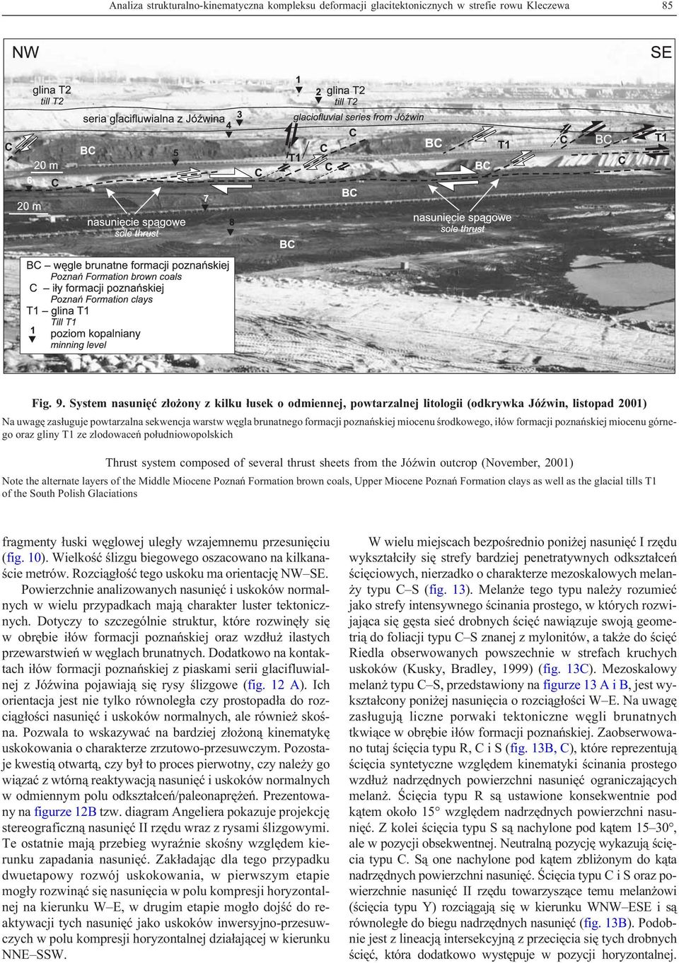 miocenu œrodkowego, i³ów formacji poznañskiej miocenu górnego oraz gliny T1 ze zlodowaceñ po³udniowopolskich Thrust system composed of several thrust sheets from the JóŸwin outcrop (November, 2001)