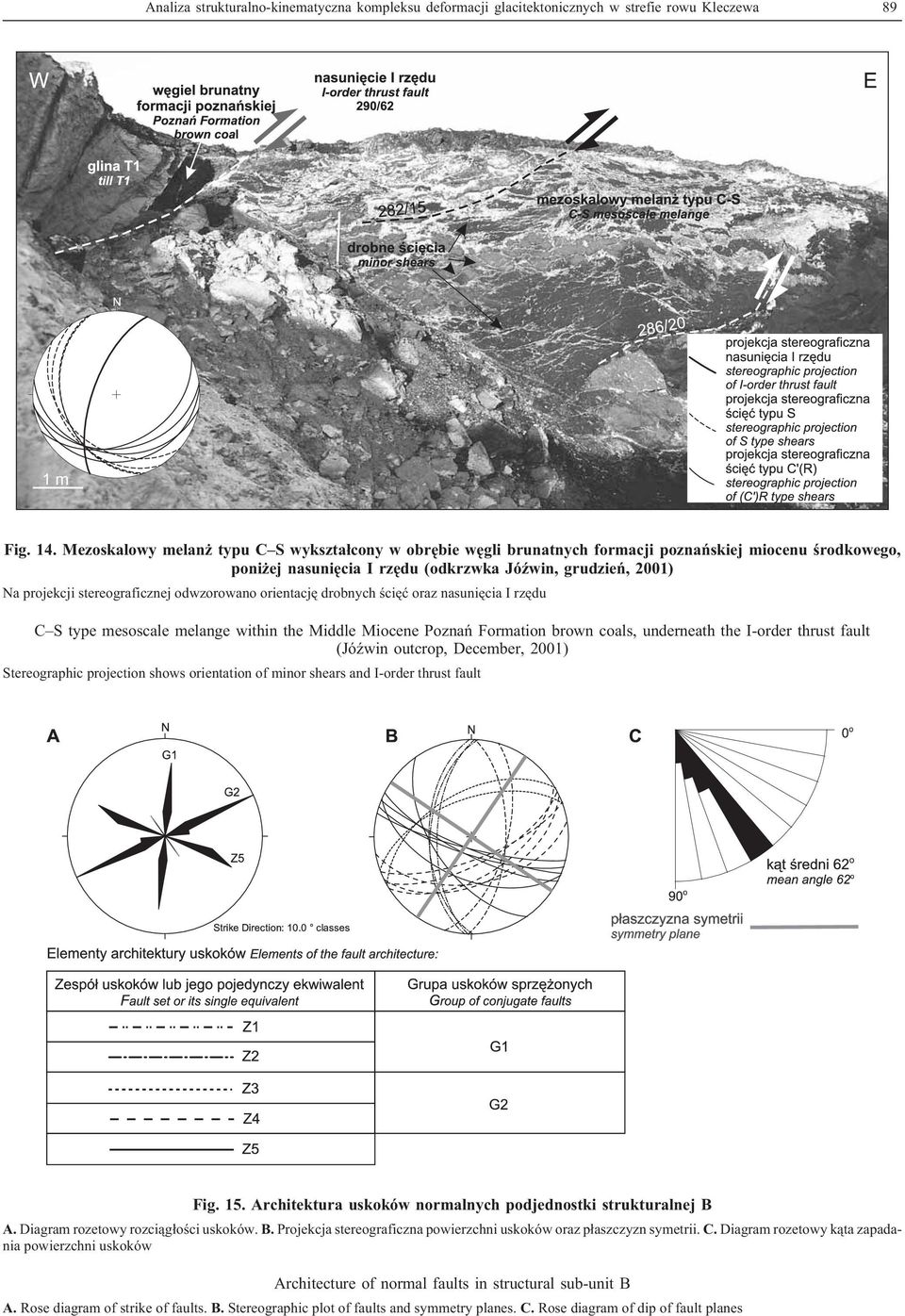 odwzorowano orientacjê drobnych œciêæ oraz nasuniêcia I rzêdu C S type mesoscale melange within the Middle Miocene Poznañ Formation brown coals, underneath the I-order thrust fault (JóŸwin outcrop,