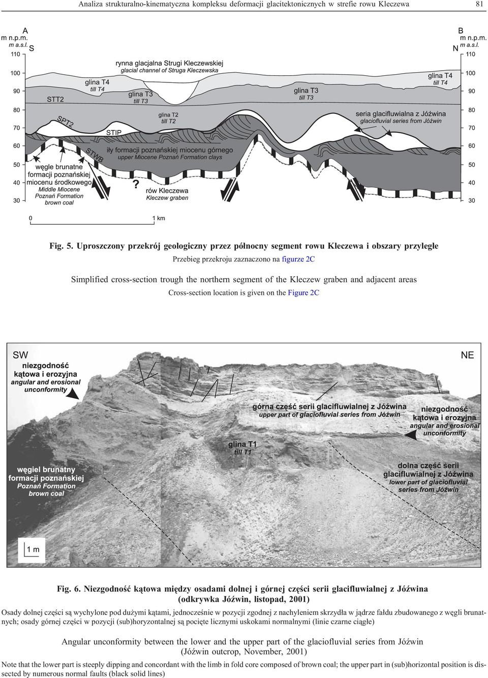 Kleczew graben and adjacent areas Cross-section location is given on the Figure 2C Fig. 6.