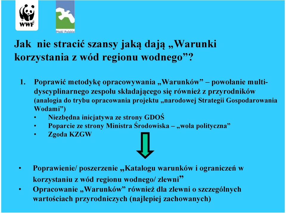 opracowania projektu narodowej Strategii Gospodarowania Wodami ) Niezbędna inicjatywa ze strony GDOŚ Poparcie ze strony Ministra Środowiska wola