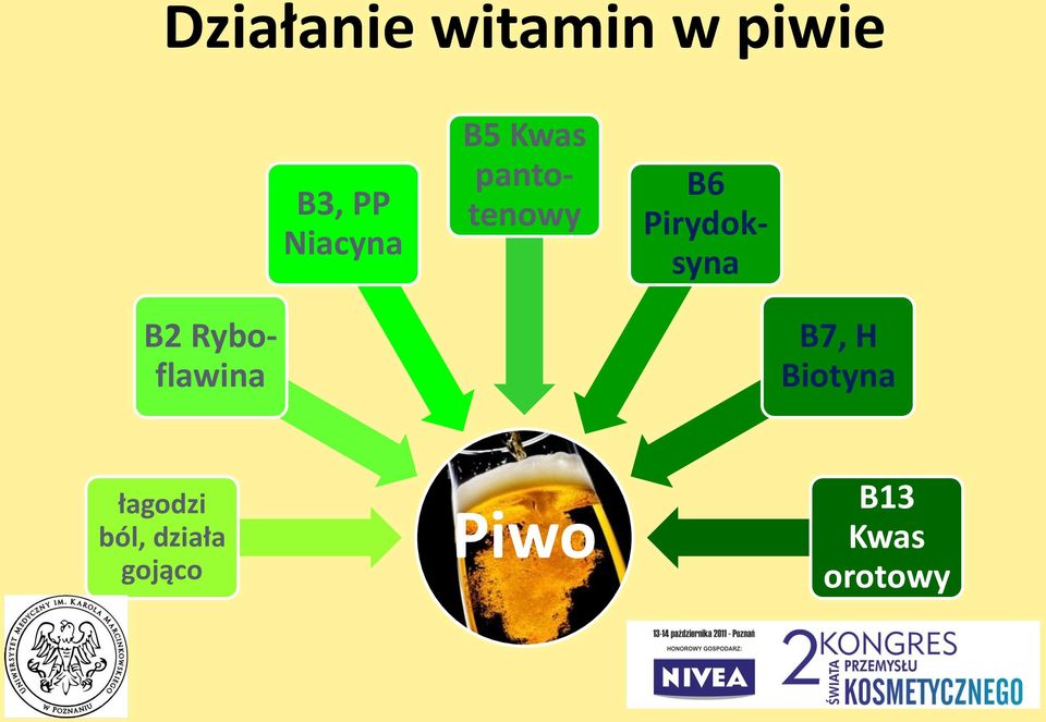 Pirydoksyna B2 Ryboflawina B7, H