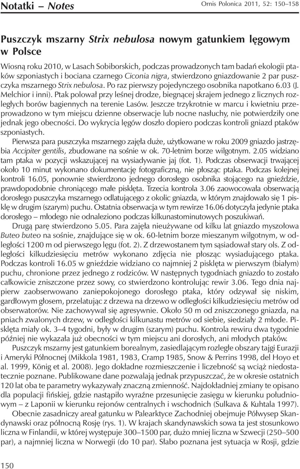 Ptak polował przy leśnej drodze, biegnącej skrajem jednego z licznych rozległych borów bagiennych na terenie Lasów.