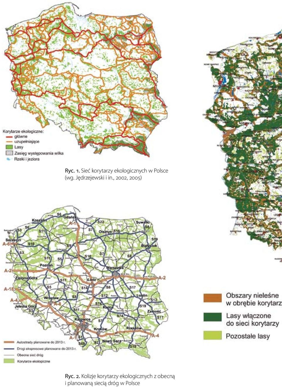 (wg. Jędrzejewski i in., 2002, 2005) Ryc.