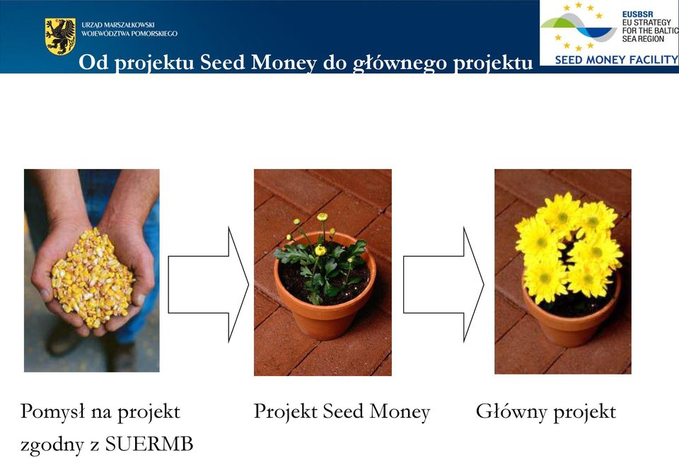 projekt Projekt Seed Money