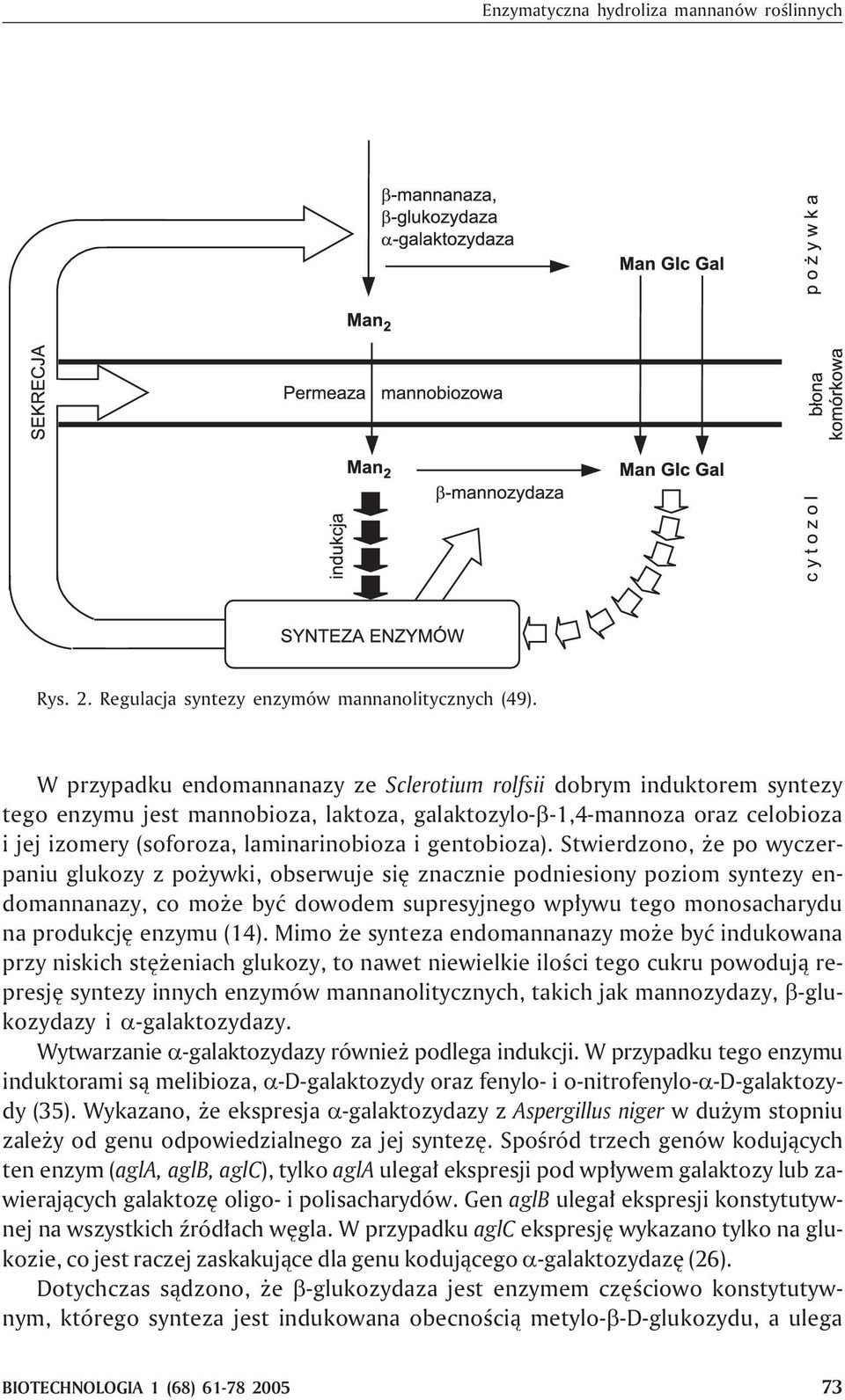 gentobioza).