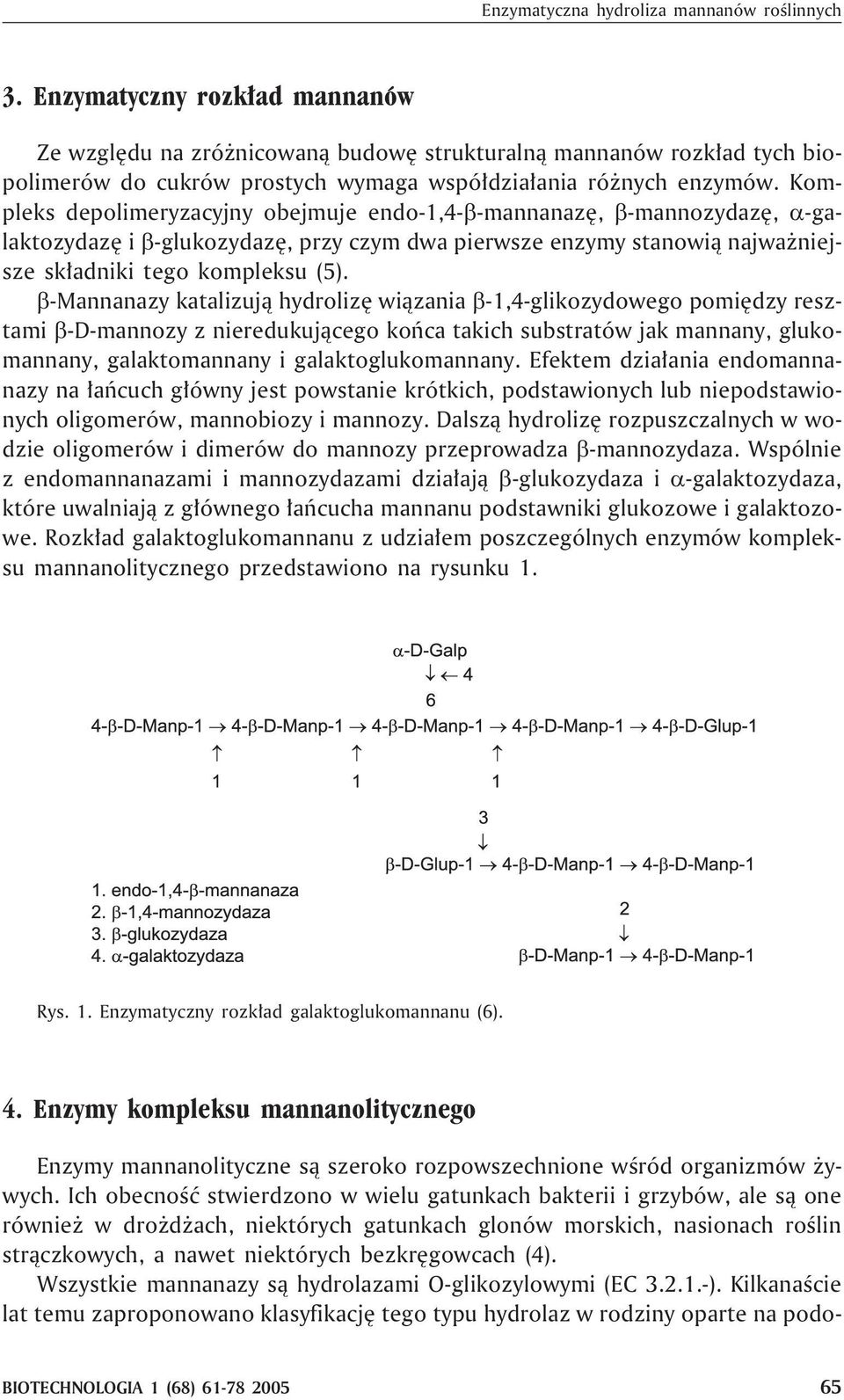 Kompleks depolimeryzacyjny obejmuje endo-1,4- -mannanazê, -mannozydazê, -galaktozydazê i -glukozydazê, przy czym dwa pierwsze enzymy stanowi¹ najwa niejsze sk³adniki tego kompleksu (5).