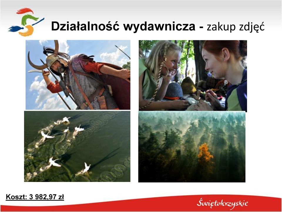 Działalność